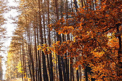 开云体育官网-波兰乒乓球队惊险胜英国，王皓成场上关键英雄
