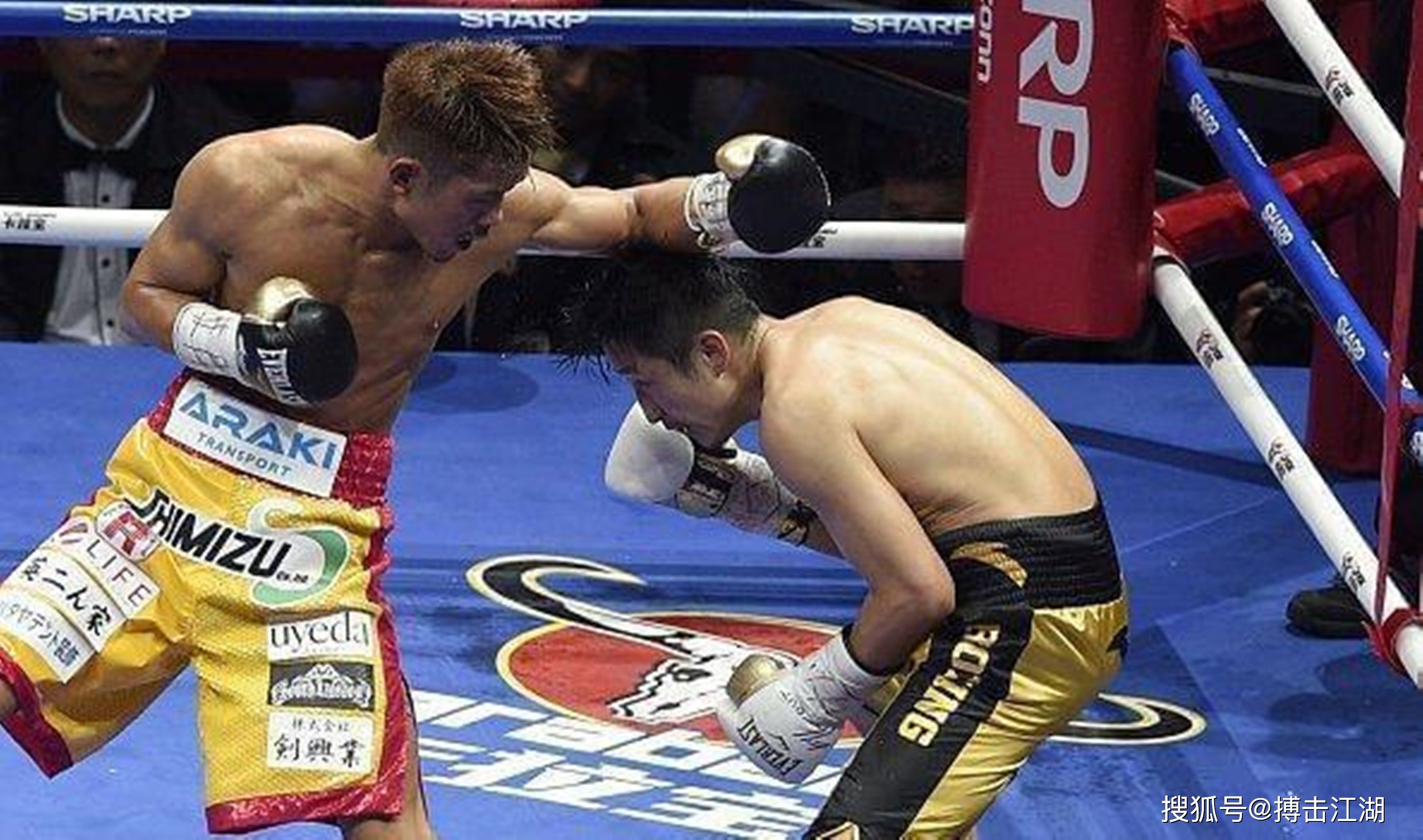 球星爆发！拳击赛场再现神级操作