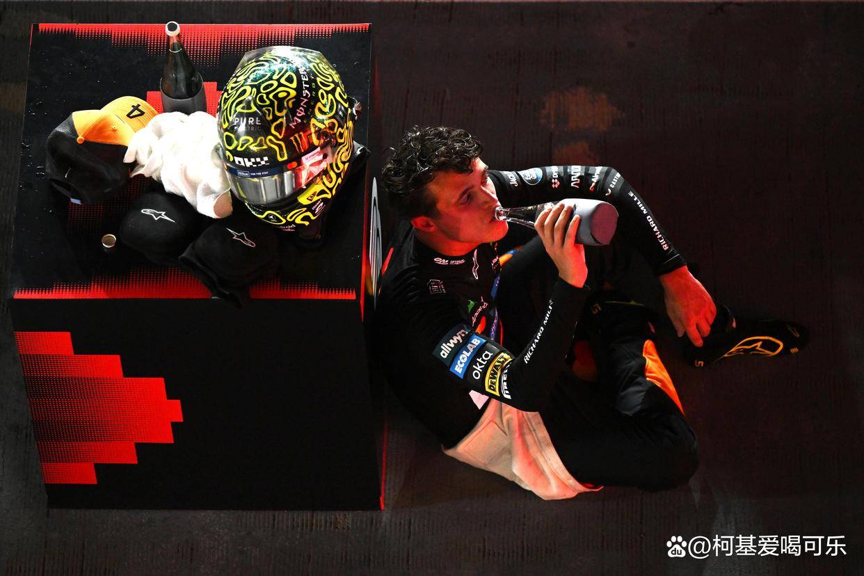 关于雷诺车队翻盘威廉姆斯，维斯塔潘点燃赛场的信息