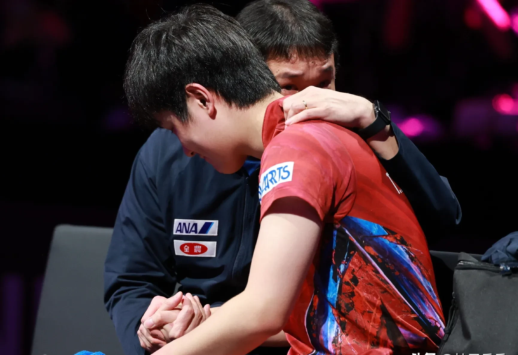 包含葡萄牙队鏖战英格兰队，张本智和带队取胜的词条